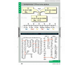 Белки и нуклеиновые кислоты (8 таблиц)
